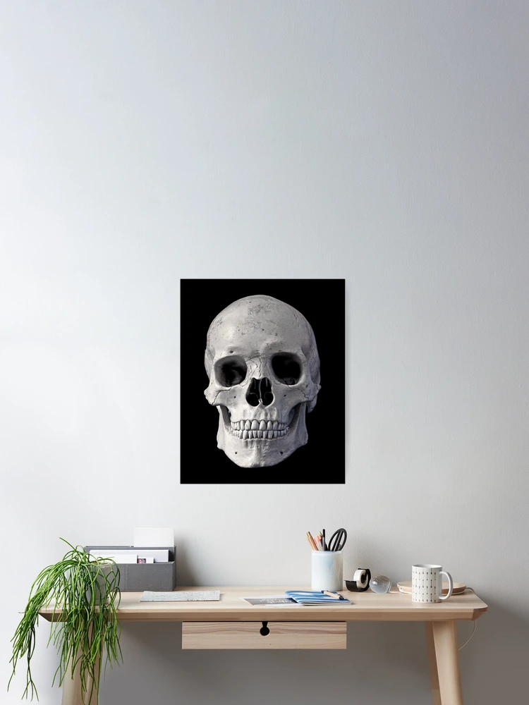 Thumbnail 2 von 3, Poster, Skull, Skeleton designt und verkauft von Sergey S.