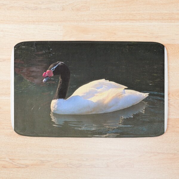 Item preview, Black-Necked Swan designed and sold by LisaWootenPhoto.