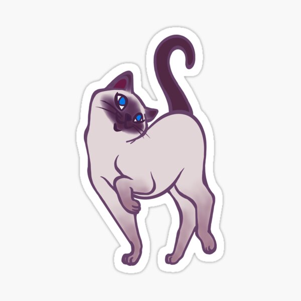 Begging for Pettings--Tonkinese Style! Sticker