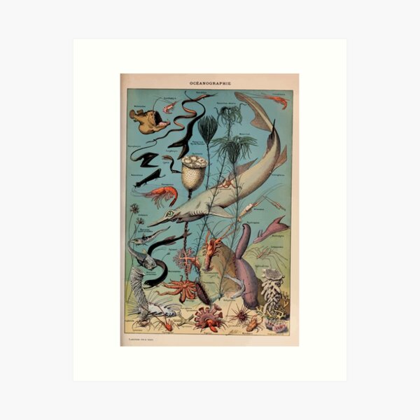 Item preview, Adolphe Millot oceanographie pour tous designed and sold by wetdryvac.