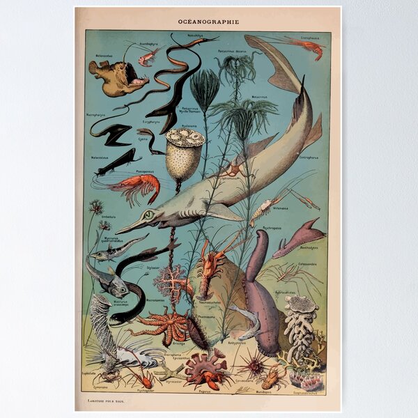 Item preview, Adolphe Millot oceanographie pour tous designed and sold by wetdryvac.