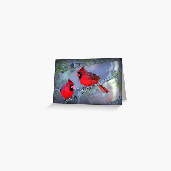 Item preview, Double Wild Cards designed and sold by freevette.