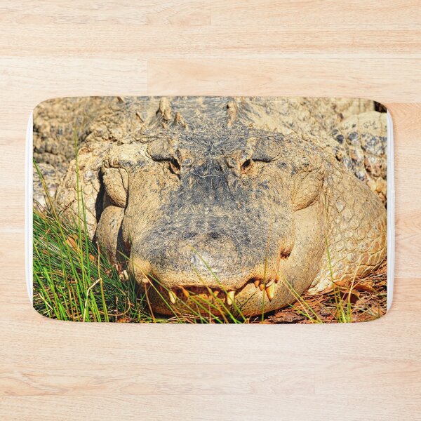 Aperçu de l'œuvre Alligator créée et vendue par LisaWootenPhoto.