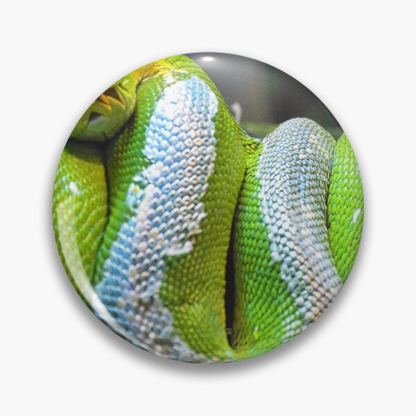 Item preview, Emerald Tree Boa Snake designed and sold by LisaWootenPhoto.