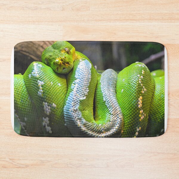 Item preview, Emerald Tree Boa Snake designed and sold by LisaWootenPhoto.
