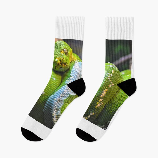 Item preview, Emerald Tree Boa Snake designed and sold by LisaWootenPhoto.