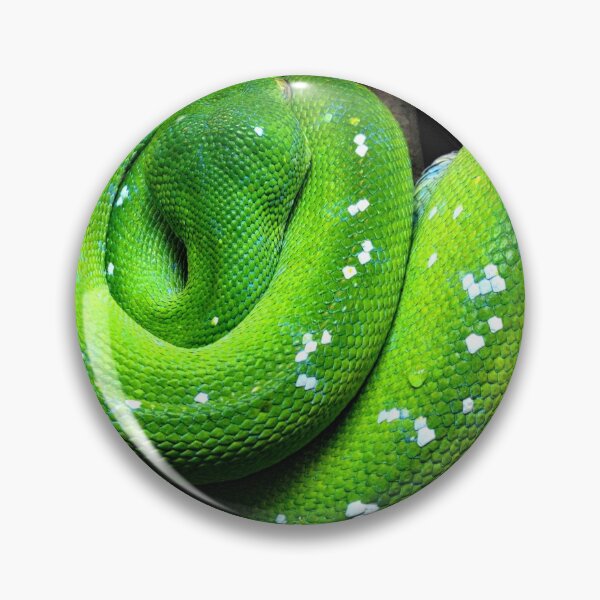 Item preview, Emerald Tree Boa designed and sold by LisaWootenPhoto.