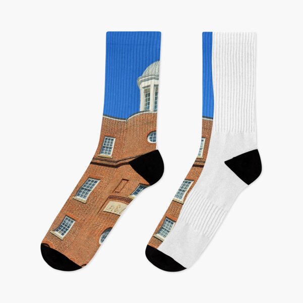 Item preview, Columbia South Carolina Asylum designed and sold by LisaWootenPhoto.