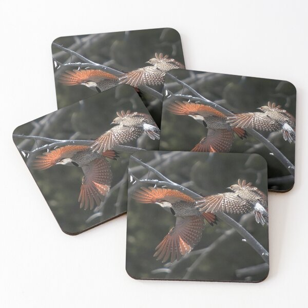 Item preview, A Pair of Northern Flickers Flying designed and sold by Tahoe Trail Guide.