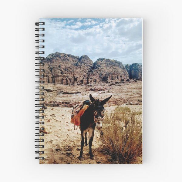 Item preview, A donkey in Petra designed and sold by lynchhorizon.