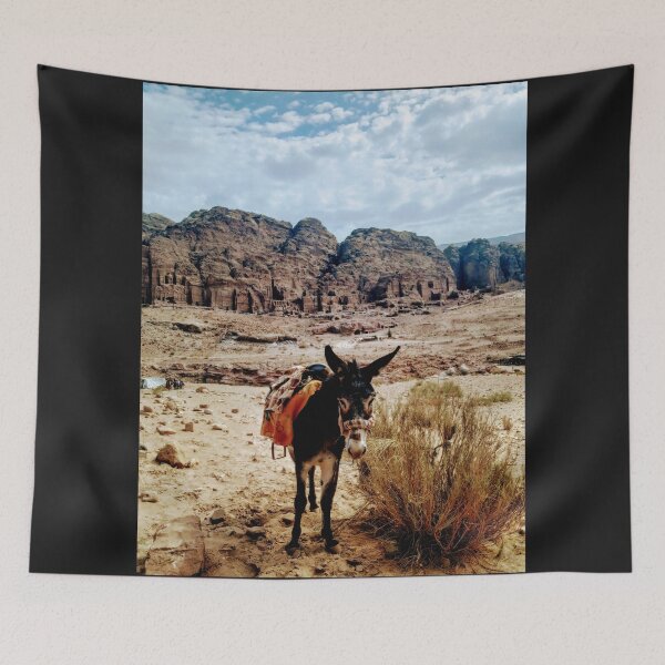 Item preview, A donkey in Petra designed and sold by lynchhorizon.