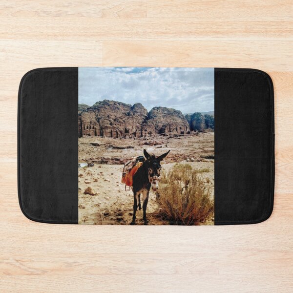 Item preview, A donkey in Petra designed and sold by lynchhorizon.