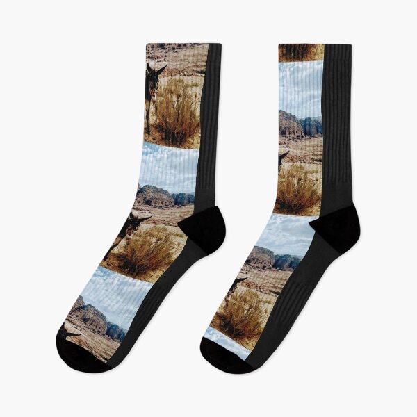 Item preview, A donkey in Petra designed and sold by lynchhorizon.