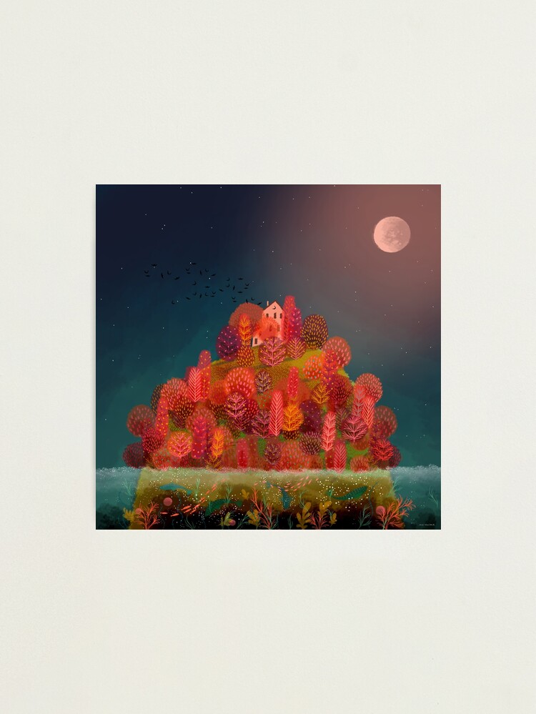Thumbnail 1 of 3, Photographic Print, Autumn Island designed and sold by Jane-Newland.