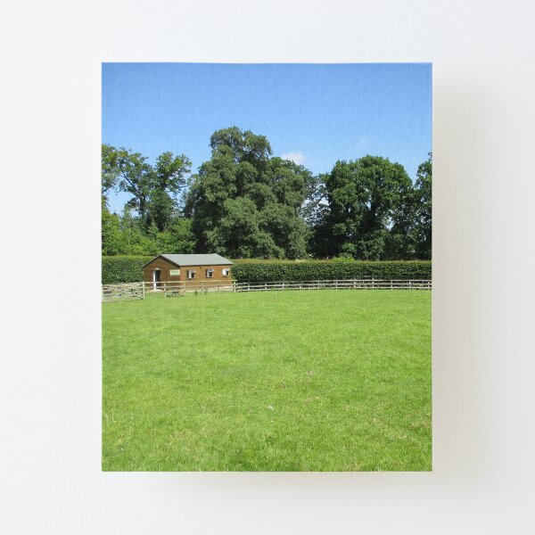 Merch #73 -- Field - Shot 3 (Hadrian's Wall) Canvas Mounted Print