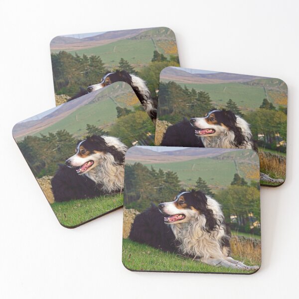 Item preview, Lazy Boy. designed and sold by Michael Haslam.