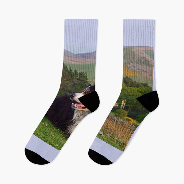 Item preview, Lazy Boy. designed and sold by Michael Haslam.