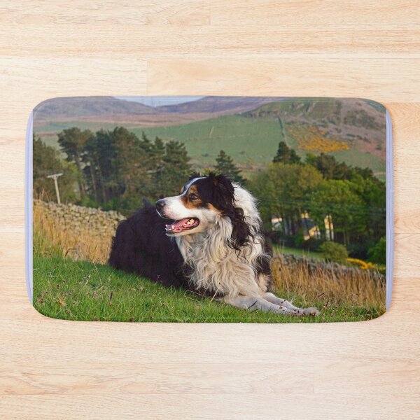 Item preview, Lazy Boy. designed and sold by Michael Haslam.