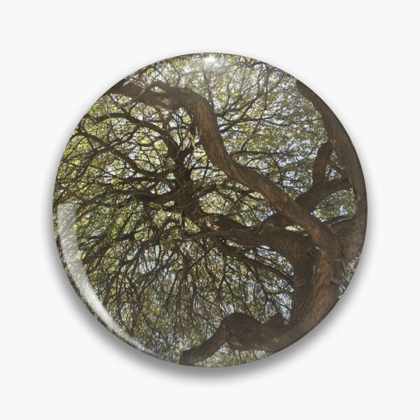 Item preview, San Antonio Oak designed and sold by billiebowler.