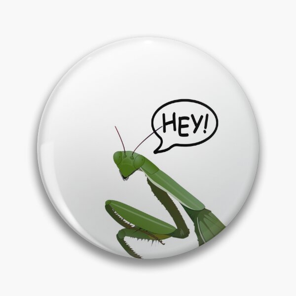 Item preview, Praying Mantis Hey designed and sold by kyarnkid.