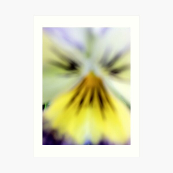 Baby eagle pansy Art Print