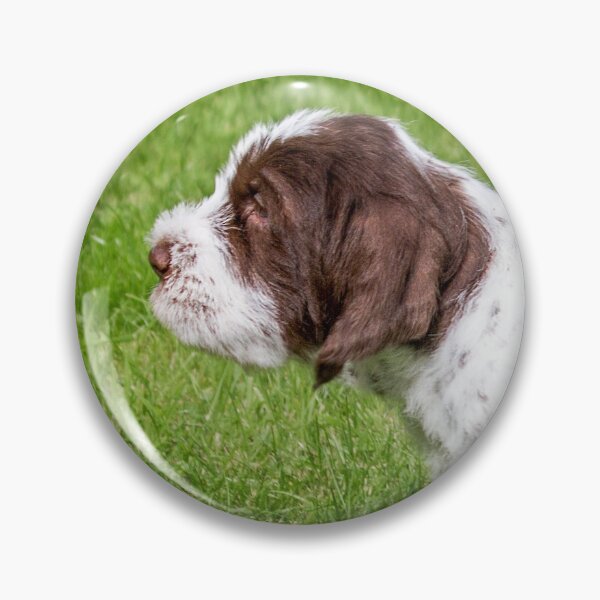 Item preview, Spinone Puppy on Point by heidiannemorris designed and sold by FOLK ART FUSION by heidiannemorris.