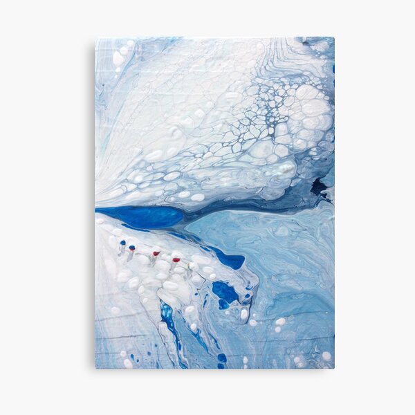 CREVASSE FIELDS Canvas Print
