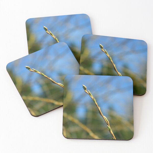 Item preview, Willow Buds designed and sold by LoneWolfMuskoka.