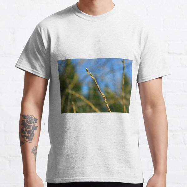 Item preview, Willow Buds designed and sold by LoneWolfMuskoka.