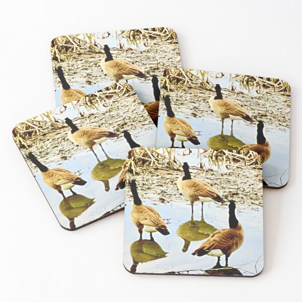 Item preview, Canada geese reflections designed and sold by Shulie1.