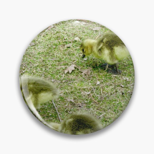 Item preview, Canada Goose babies designed and sold by Shulie1.