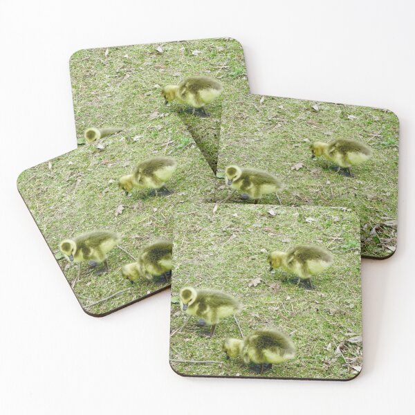Item preview, Canada Goose babies designed and sold by Shulie1.