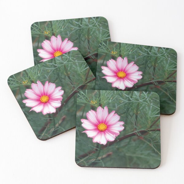 Item preview, Coreopsis Rosea designed and sold by Nerone.
