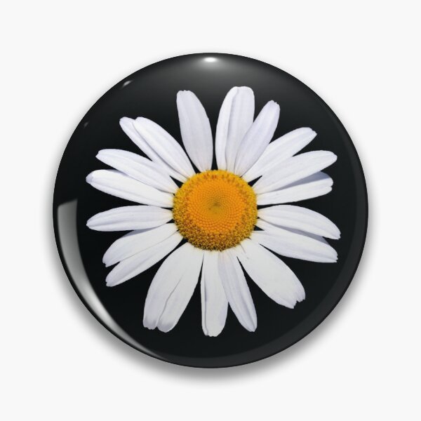 Item preview, Margarita solitaria sobre negro designed and sold by danastuff.