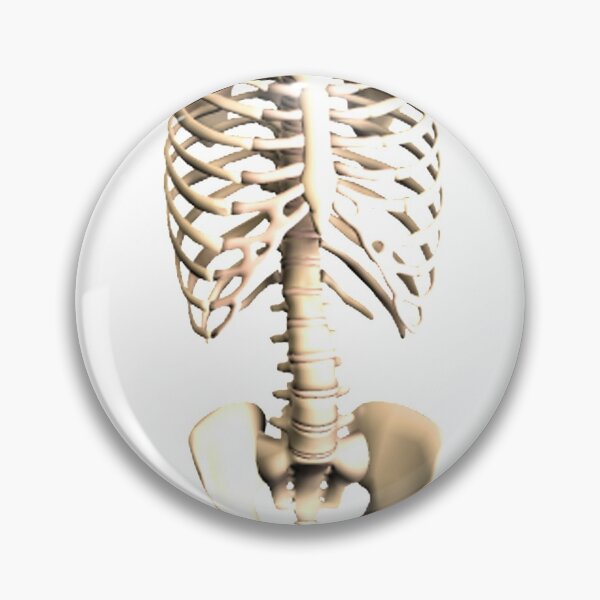 Item preview, human skeleton designed and sold by geograffeur.