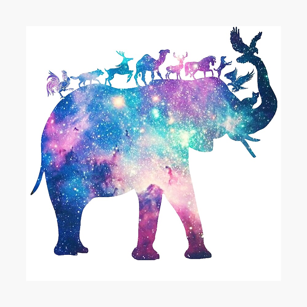 galaxy animals family and huge elephant