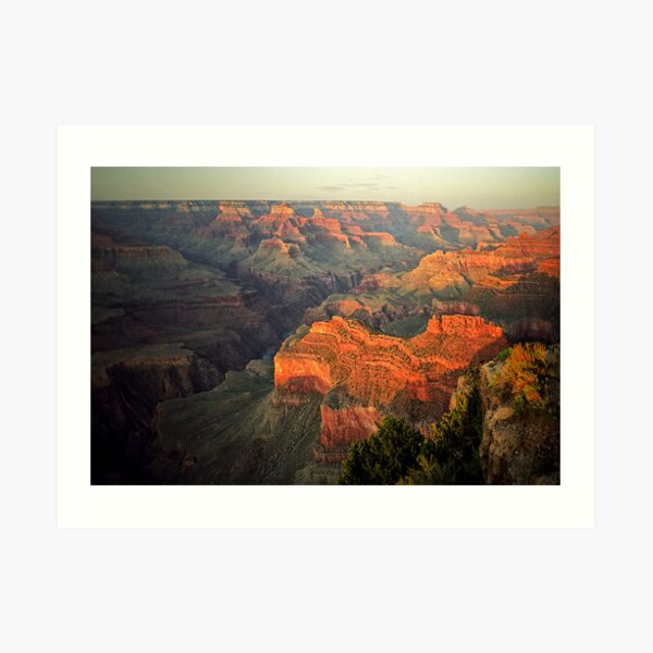 Grand Canyon at Sunset Art Print