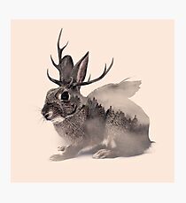 Wolpertinger Photographic Print