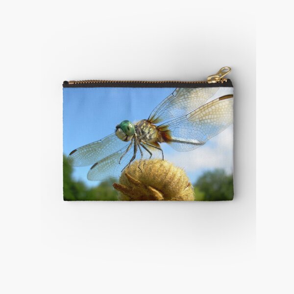 Artikelvorschau, dragonfly entworfen und verkauft von mwfoster.