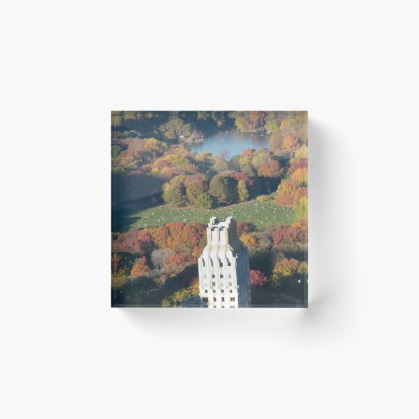 Item preview, Central Park, Sheep Meadow Fall Colors, Aerial View, New York City designed and sold by lenspiro.