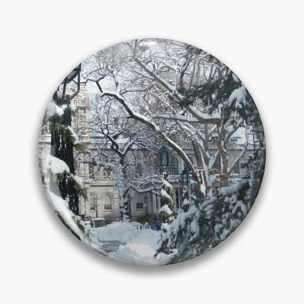 Item preview, City Hall Park in Snow, New York designed and sold by lenspiro.