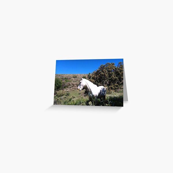Talento eating Greeting Card