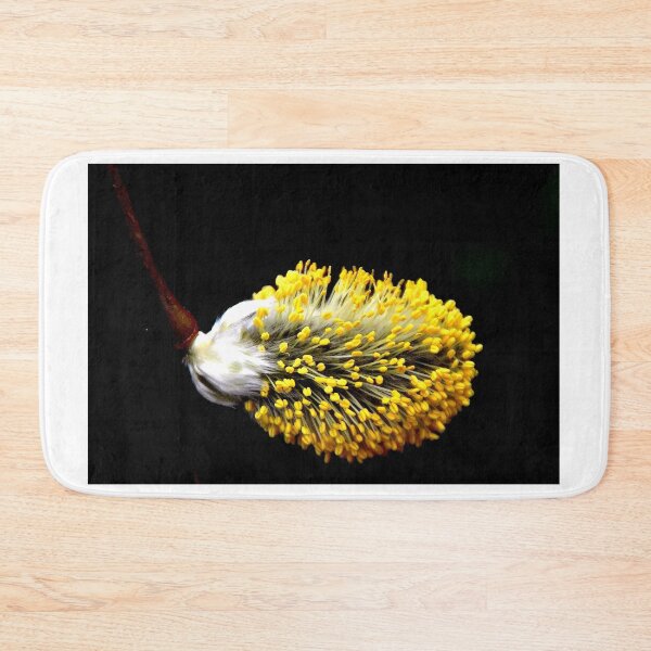 Item preview, Bud of the Weeping Willow tree designed and sold by Photography  by Mathilde.