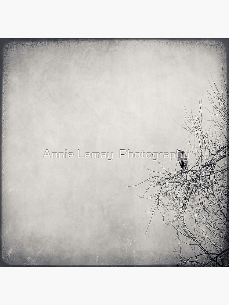 All Alone Again by ajlphotography