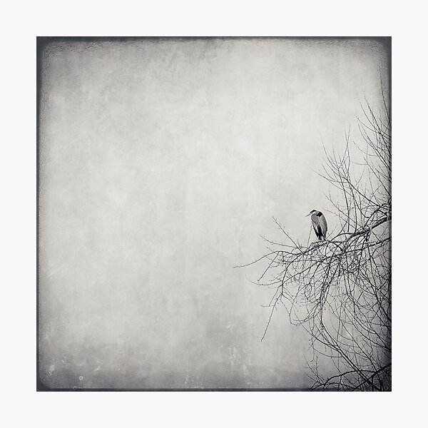 All Alone Again Photographic Print