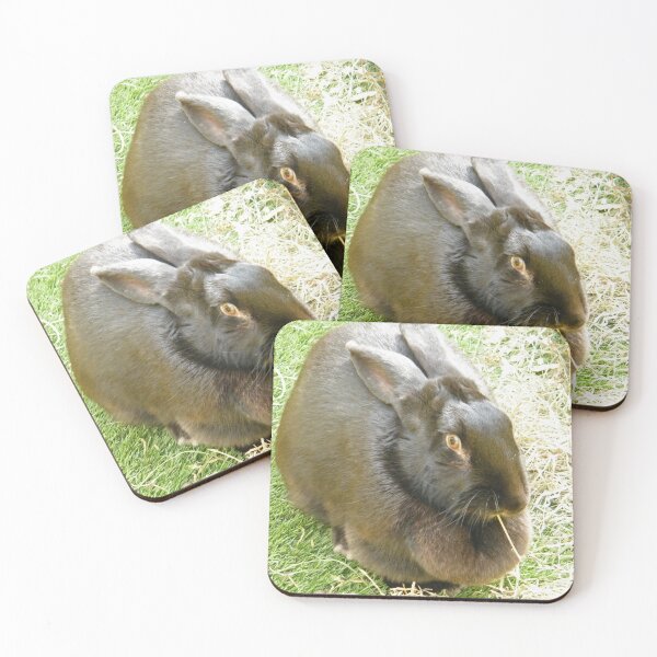 Item preview, Flemish Giant Rabbit, Petting Zoo, New York City designed and sold by lenspiro.