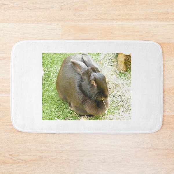 Item preview, Flemish Giant Rabbit, Petting Zoo, New York City designed and sold by lenspiro.