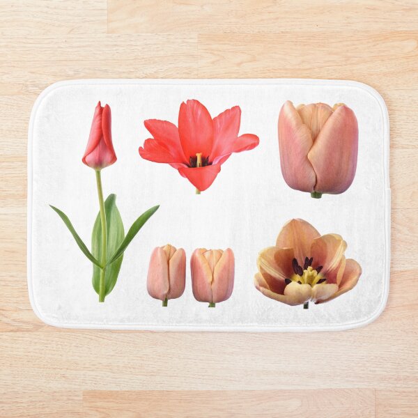 Aperçu de l'œuvre Tulipes assorties créée et vendue par Chris Burrows.