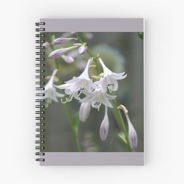 Item preview, Graceful designed and sold by Lorelle Gromus.