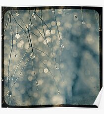 Raindrops TTV Poster